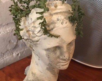 The "Diana" Garden Pot Head Planter Bust Handmade Concrete Indoor Outdoor