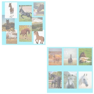 100 page horse journal digital