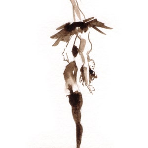 Piccolo originale e unico inchiostro brou noci Sepia Art carta Coppia di ballerini classici in usura e tutu Offrire un lavoro