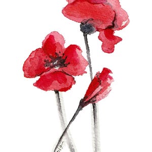 Mohnblume, kleine originelle und einzigartige Aquarell-Postkarte in den Farben Rot und Schwarz. Bunte, romantische Blume