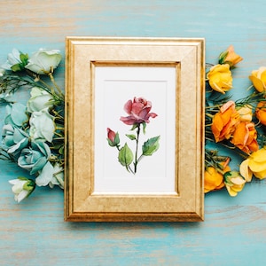 Bouton de rose et fleur petite aquarelle originale et unique aux couleurs rouges et noire carte postale Fleur romantique colorée