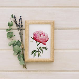 pivoine petite aquarelle originale et unique aux couleurs douces roses violet bleue carte postale Fleur romantique colorée par C100D17
