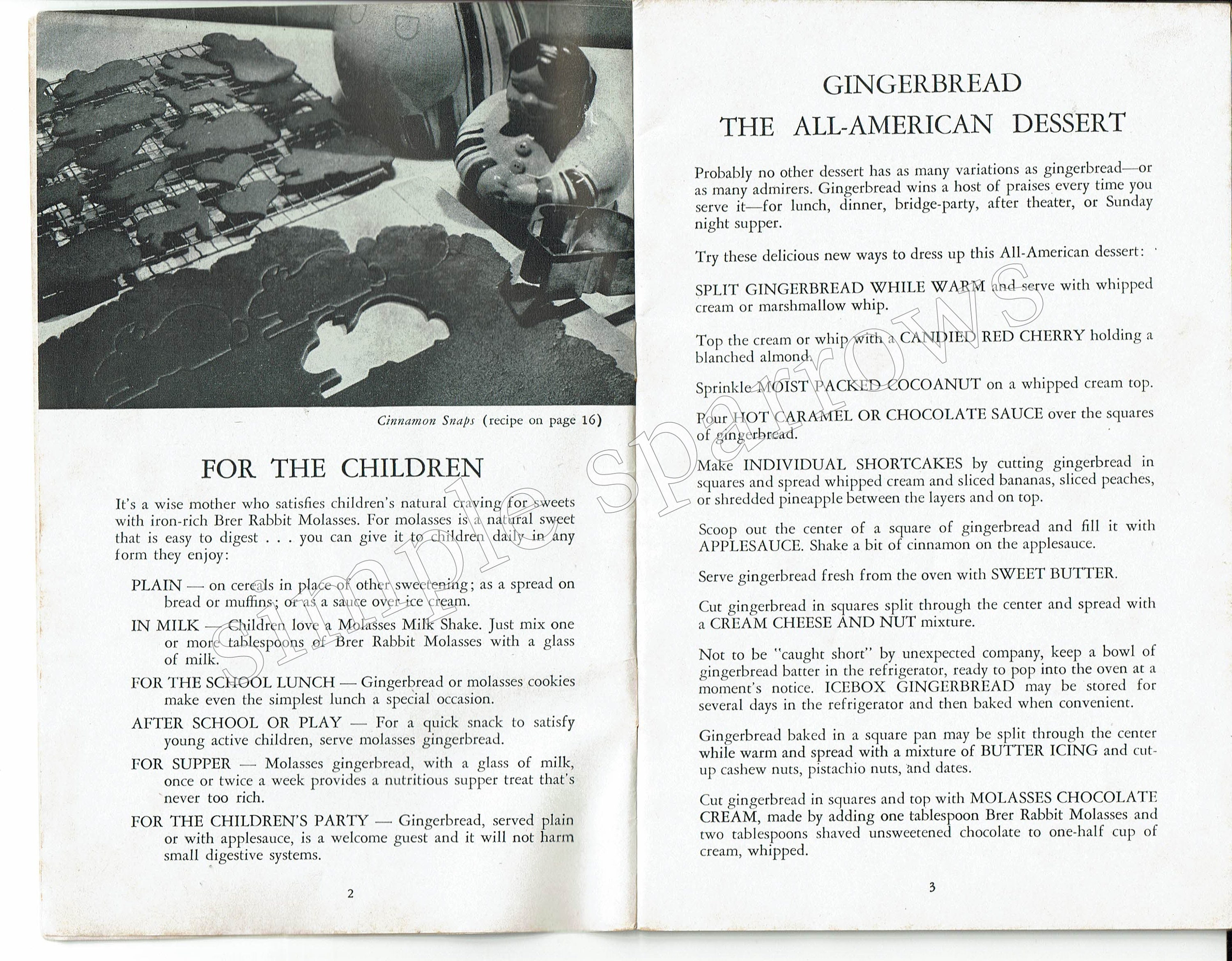 Vintage Brer Rabbit Molasses Recipe Book DIGITAL DOWNLOAD 1930s - Etsy