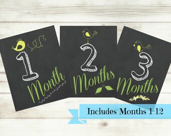 Printable Baby Month Signs, 1-12, babys first year Photo Prop sign, chalkboard, bird, colorful, green yellow, instant download, digital file