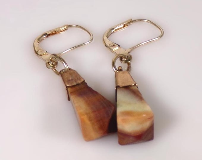 Agate Drop Earrings – 14K Yellow Gold – Lever Back – Brown and White Agate – Tapered Kite Cut – For Pierced Ears – Vintage Earrings