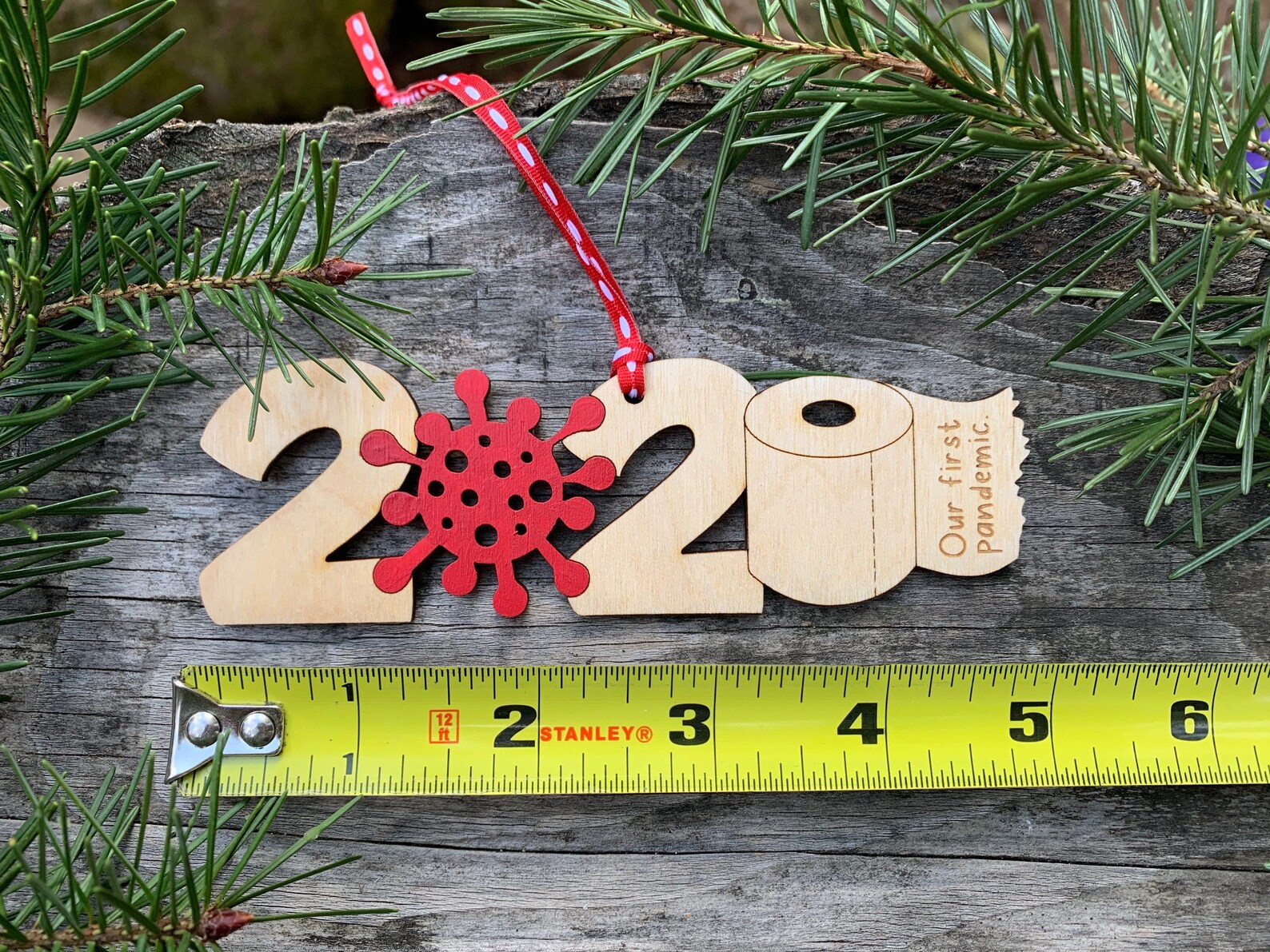 2020 Ornament | Etsy