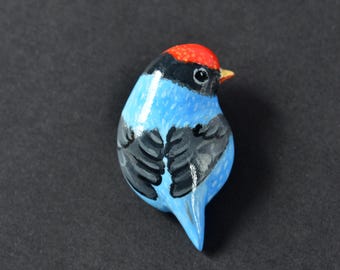 Broche Manakin azul con forma de pájaro, pequeño, azul con Caperucita Roja. 46 mm x 28 mm