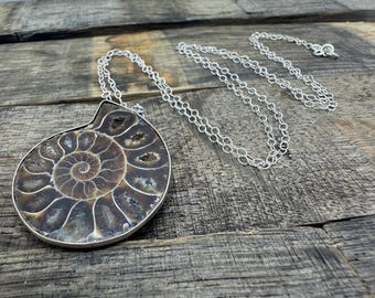 Puede incluir: Collar de plata con un colgante de fósil de amonita grande. El colgante muestra un patrón espiral detallado en tonos marrones y beige, engastado en un bisel de plata. La cadena es un diseño delicado y enlazado.