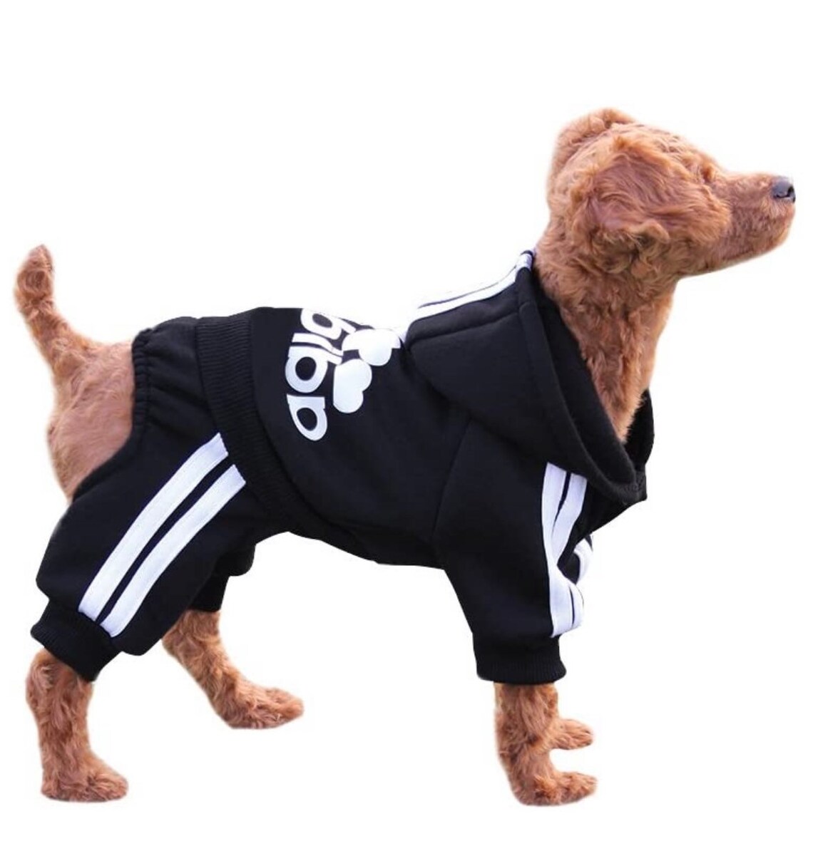 Dog Jogger suit cute small dog jogging set perfect name brand Etsy