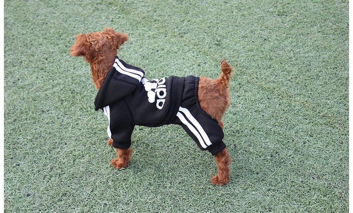 Dog Jogger suit cute small dog jogging set perfect name brand Etsy