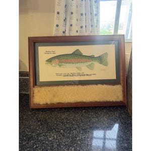 Vintage Rare "Cat Fish" Framed Rainbow Trout Print On Cloth With Sheep Fly Patch