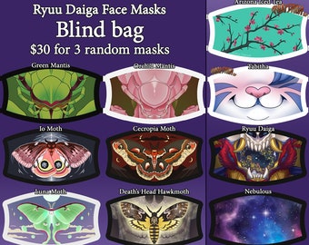 Mystery Blind Bag 3 Random Masks