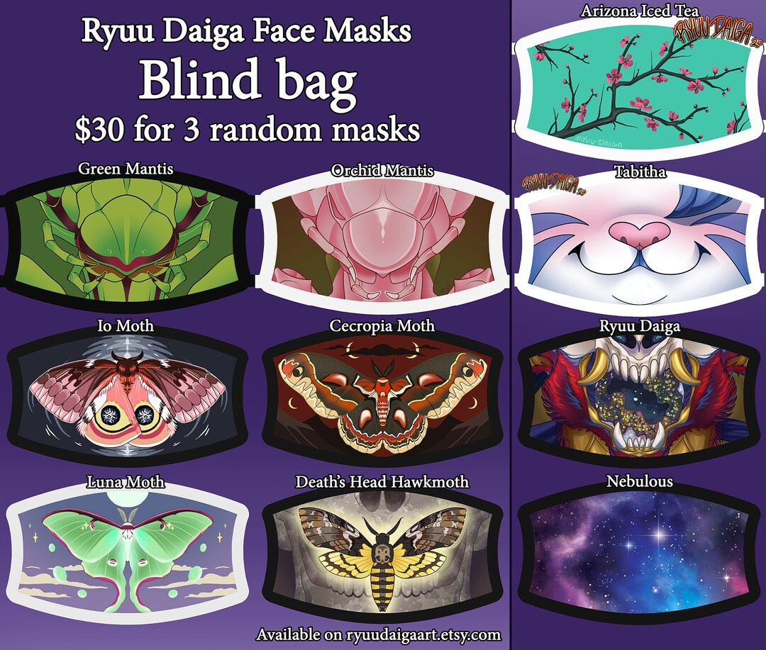 Mystery Blind Bag 3 Random Masks - Etsy