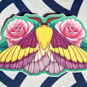 Rosy Maple Moth 4" Vinyl Sticker