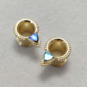 May include: A pair of gold ear gauges with a blue and green abalone shell triangle accent. The gauges are made of metal and have a beaded edge.