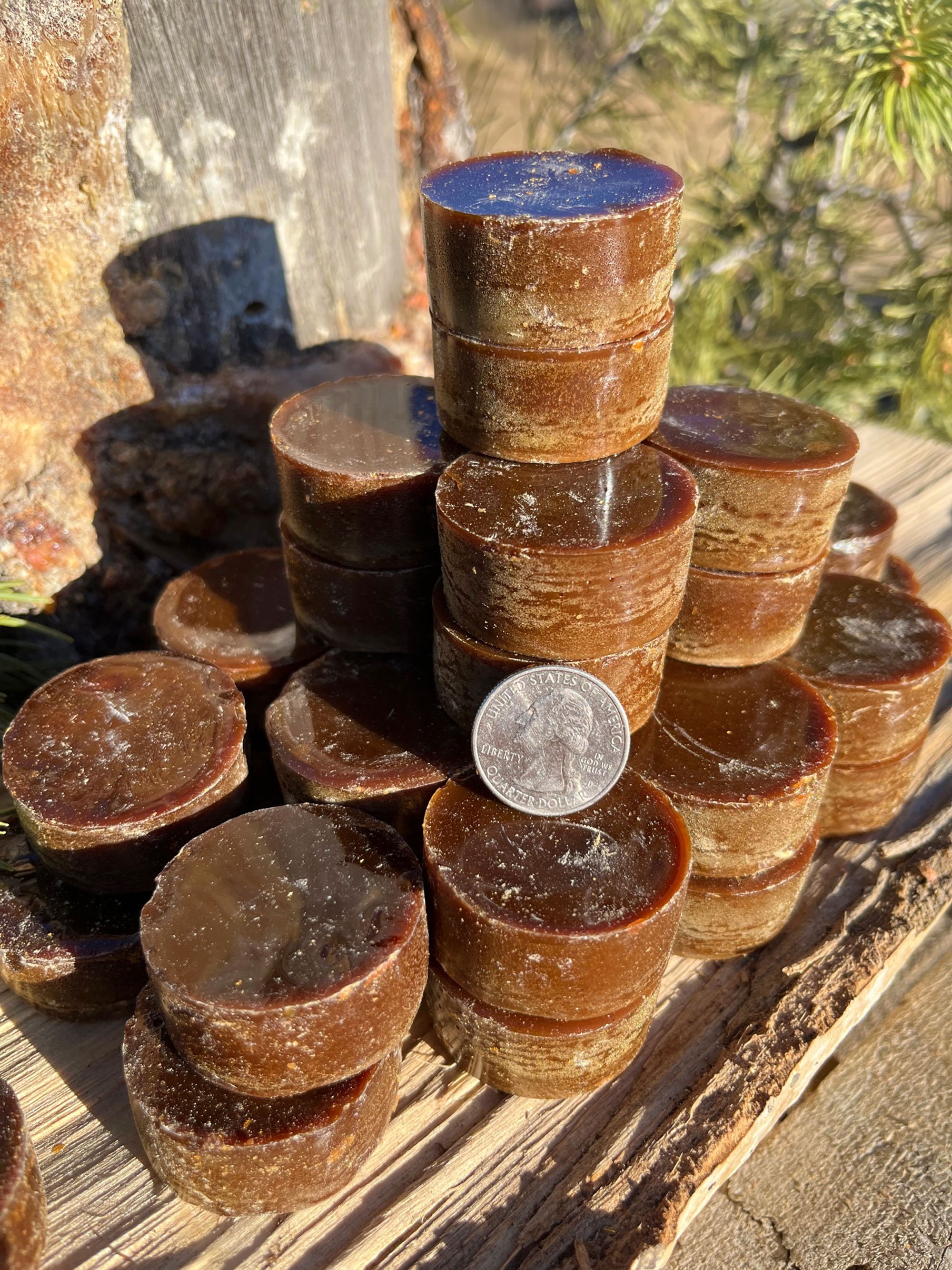 Piñon Pine Sap/resin Prestrained Wild Harvested in New Etsy