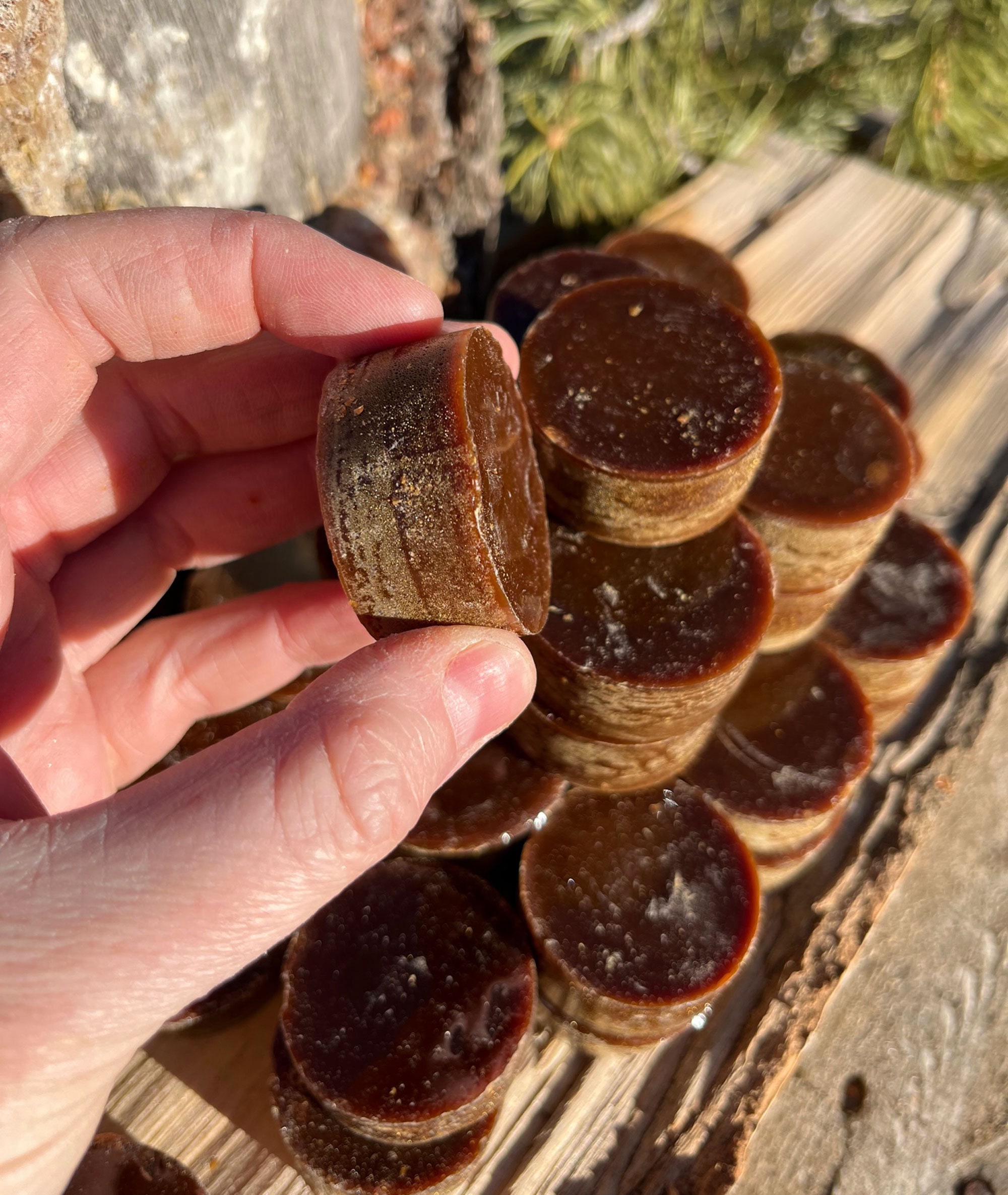 Piñon Pine Sap/resin Prestrained Wild Harvested in New Etsy