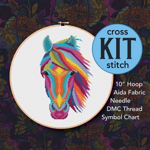 Colorful Horse Head Counted Cross Stitch Kit - 10 Inch Kit - Suitable for Beginners