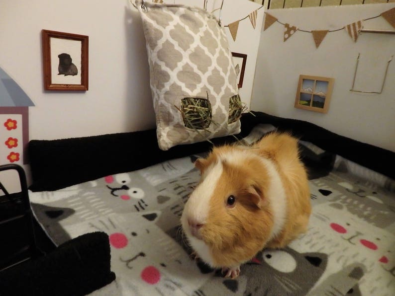 Rabbits For Guinea Pigs and more! Hedgehogs Custom Hay Bag Pouch