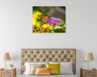 Monarch Butterfly Nature Print, Canvas Nature Print, Nature Photography, Nature Wall Art, Butterfly Art Print, Butterfly Wall Decor