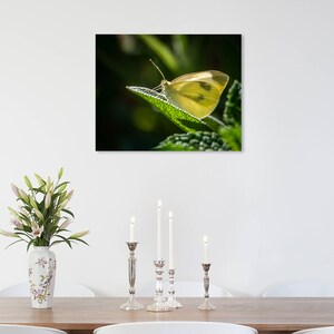 Butterfly Nature Print, Butterfly Art Print, Garden Photography, Nature Photography, Canvas Nature Print, Canvas Nature Art, Nature Wall Art