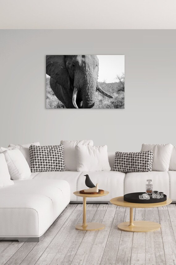 Black And White Elephant Photography Elephant Print Elephant Etsy