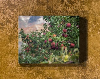 Apple Orchard Canvas Print, Canvas Nature Print, Autumn Photography Canvas Wall Art, Autumn Landscape Canvas Art, Fall Nature Photography