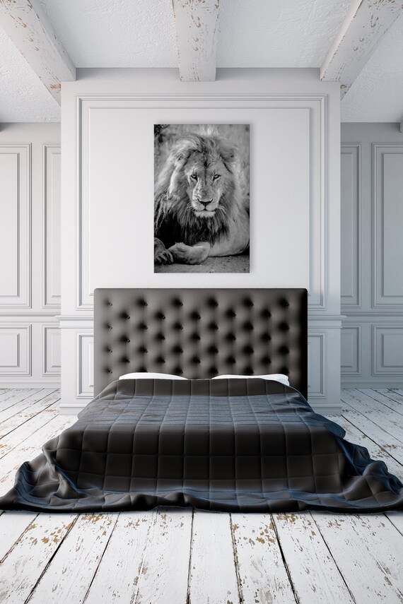 Safari Wall Art Safari Decor Black And White Lion African Wildlife Print Black And White Art Black Bedroom Decor Lion Art Print