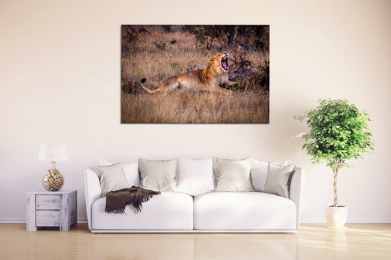 Safari Wall Art Safari Decor African Wildlife Photography Lion Photography Safari Wall Decor Living Room Wall Art Bedroom Wall Decor