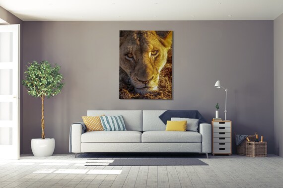 Lioness Print Lion Art Lion Print Lion Photography Safari Etsy