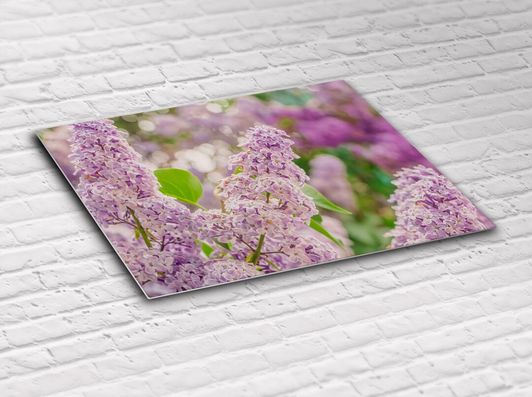 Lilac Flowers Art Garden Photography Metal Wall Art Flower Etsy