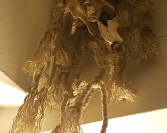 Creature skulls with rope hair