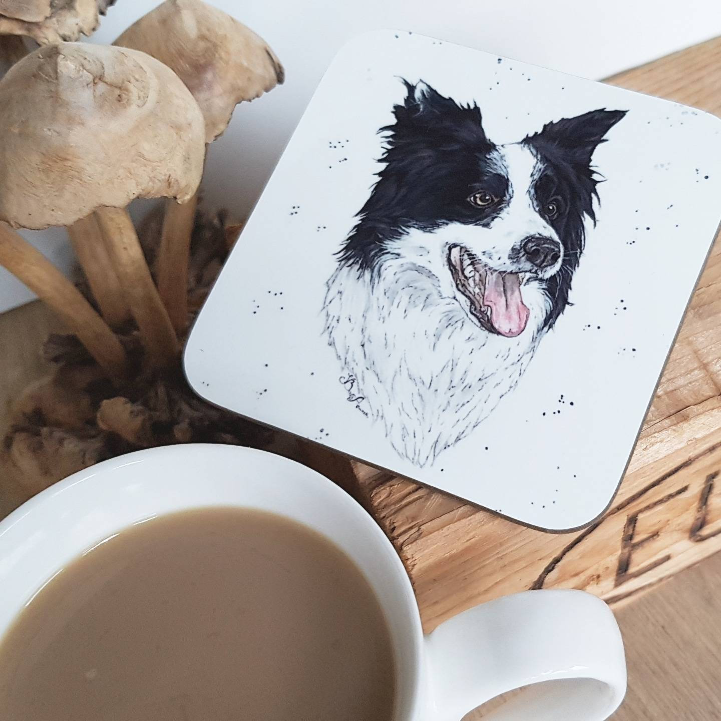 border collie coasters