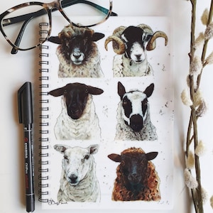 Notitieboek schapenras, schattige schapenbriefpapier, geschenken schapenliefhebber, ooikunstdruk, boercadeau, A5-notitieblokken met spiraalbinding, plattelandsdieren