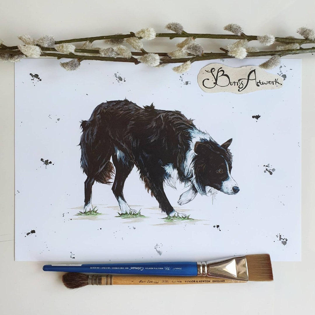 Working Border Working Border Collie Print, Dog Lover Gifts, Cute Dog Decor, Collie ...
