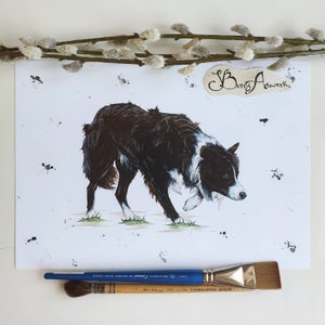 Working border collie print, dog lover gifts, cute dog decor, collie dog, sheepdog owner, sheep herding print, farmer gift, pet portrait