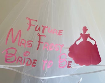 Stunning personalised Cinderella inspired veil, wedding/hen party, bride, glitter print princess