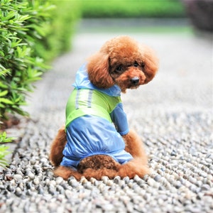 May include: A small brown dog wearing a blue and green raincoat. The dog is sitting on a path of small gray stones.