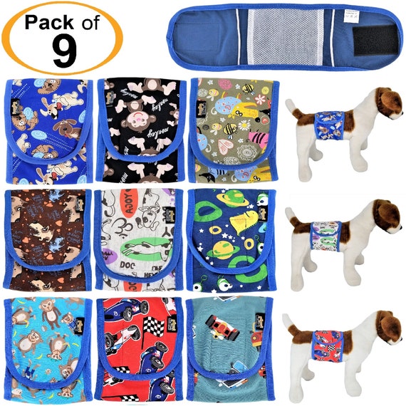 boy dog diapers