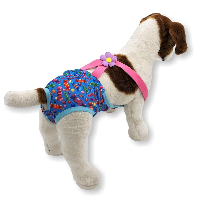 PACK of 2 or 6 Female Dog Diapers Washable Reusable With Etsy