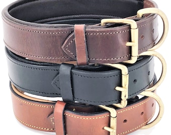 Padded Leather Dog Collar – Heavy Duty Pet Collar, Medium-XL