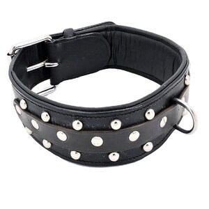 Puede incluir: Collar de perro de cuero negro con tachuelas plateadas y un anillo en D plateado.