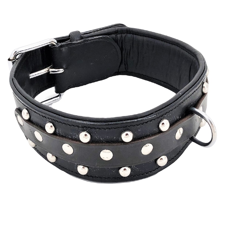 Puede incluir: Collar de perro de cuero negro con tachuelas plateadas y un anillo en D plateado.