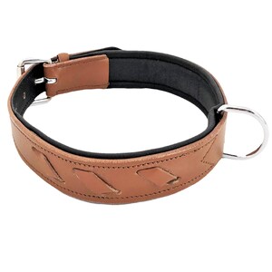 Puede incluir: Un collar de perro de cuero marr&oacute;n con forro acolchado y un anillo en D plateado. El collar tiene un dise&ntilde;o trenzado.
