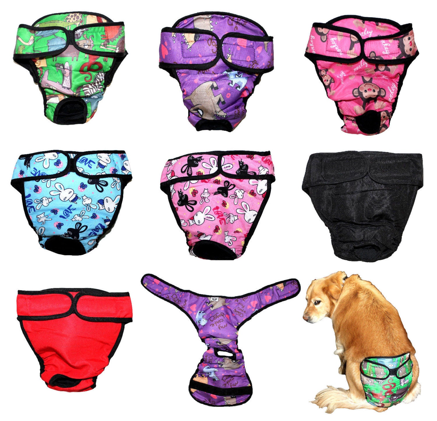 Wholesale commodity Great prices, huge selection BWOGUE Premium Dog