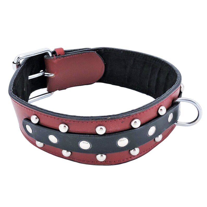 Puede incluir: Un collar de perro de cuero rojo y negro con tachuelas plateadas. El collar tiene un cierre de hebilla y un anillo en D.