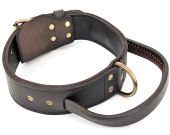 May include: A brown leather dog collar with a handle and brass hardware. The collar has a stitched design and multiple brass rivets.
