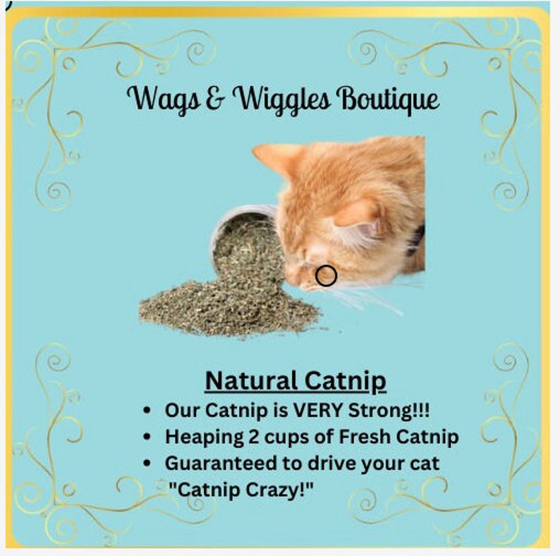 9 X 9 Catnip Mat All Natural Catnip Cats Cat Etsy