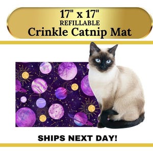 Crinkle Catnip Blanket Natural Cat Toy Gifts for Cats Catnip Mat