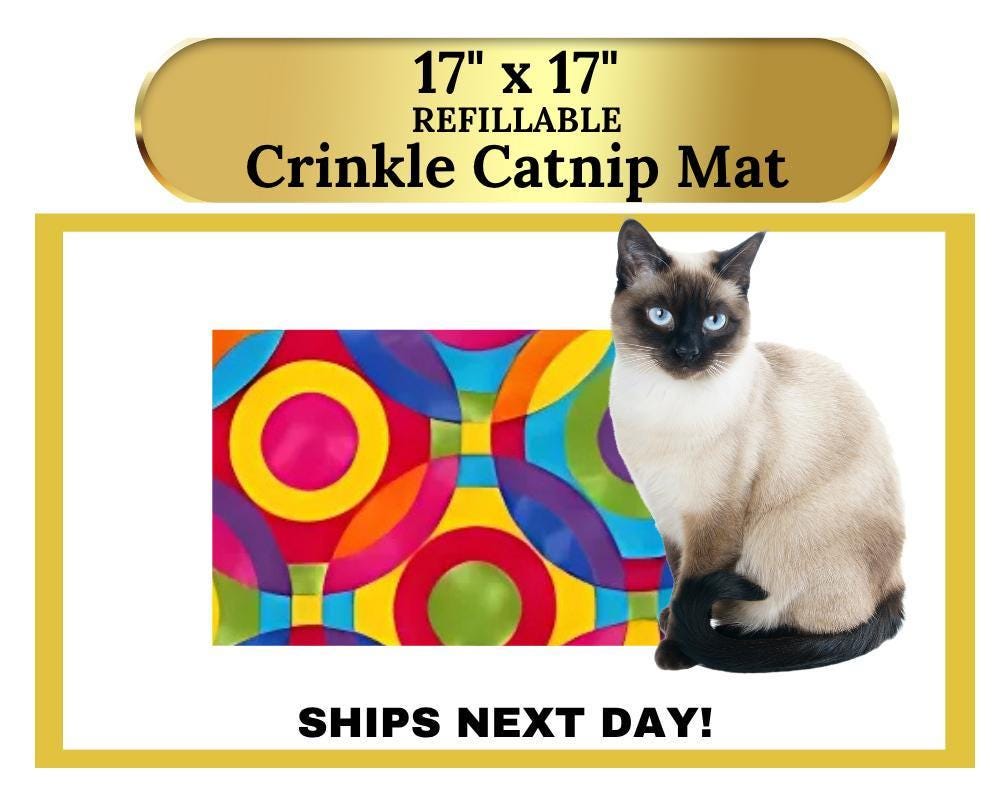 How to Make Cat Crinkle Toy: Easy DIY Fun Your Cat Will Love